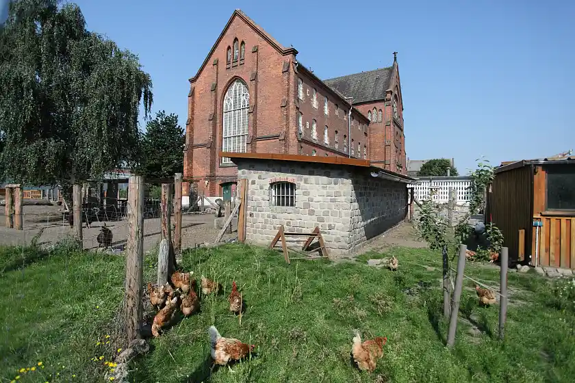 Freilaufende Hühner hinter Haus 4